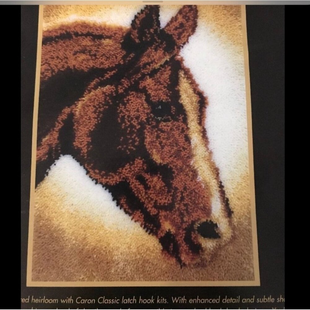 Caron Classics Latch Hook Kit Horse Art # CC0103 20 “ x 30 “ Horse Head